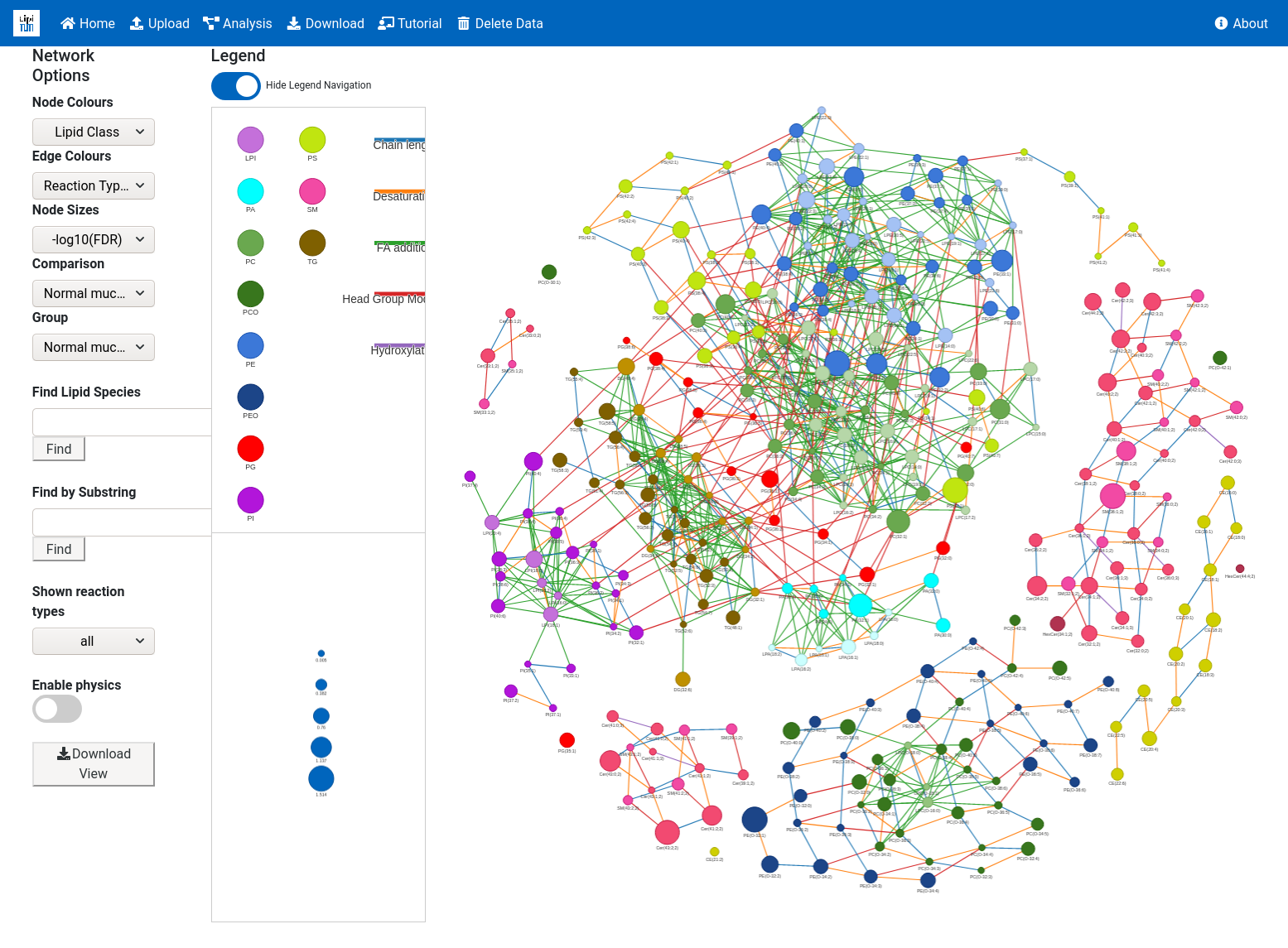 how it looks like during the network computation